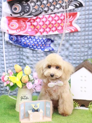 20230510サラちゃん